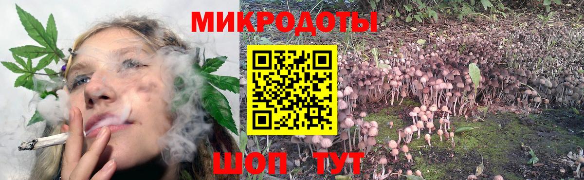 Дзержинский  Галлюциногенные грибы Magic Shrooms  Псилоцибиновые грибы Magic Shrooms  Вход с VPN 
