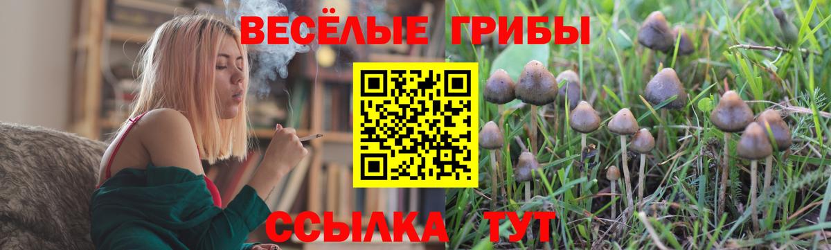 Галлюциногенные грибы мицелий Дзержинский