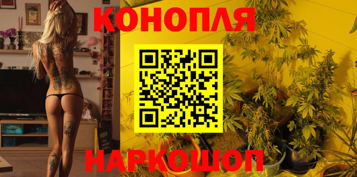 Бошки Шишки Amnesia  Вход с VPN  Дзержинский  Бошки Шишки SATIVA & INDICA 